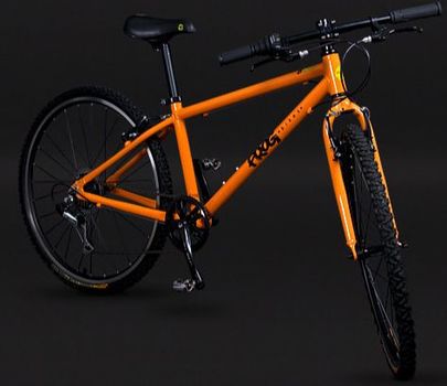 orange frog bike
